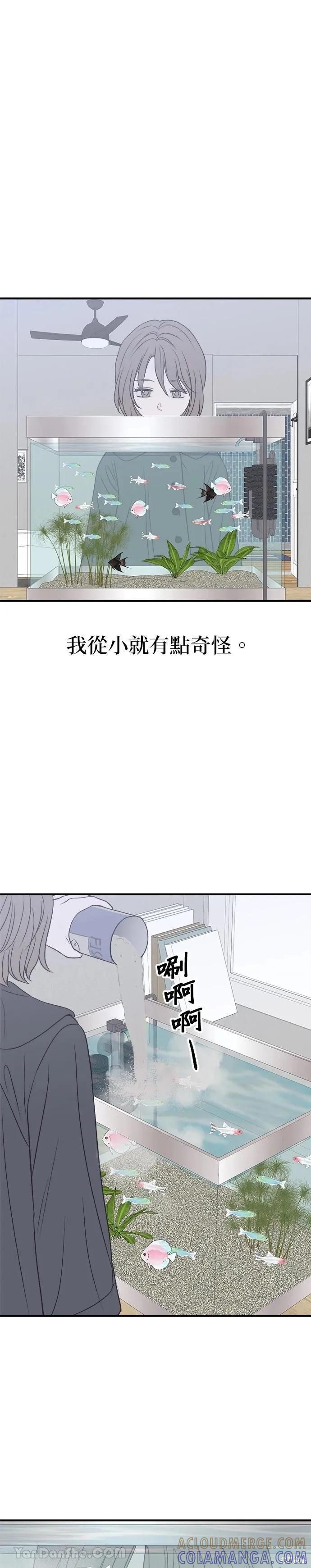 《月色撩人》第19话 第4页