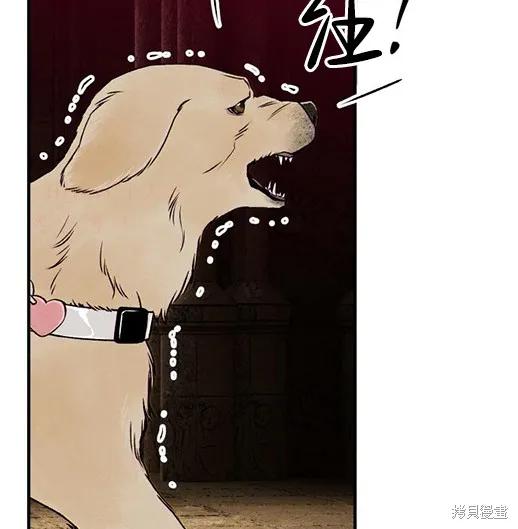《月色撩人》第4话 第151页