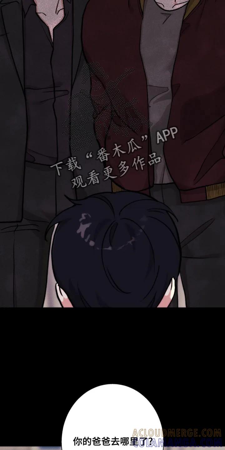 《海岛人生》第12章：什么也做不了 第5页