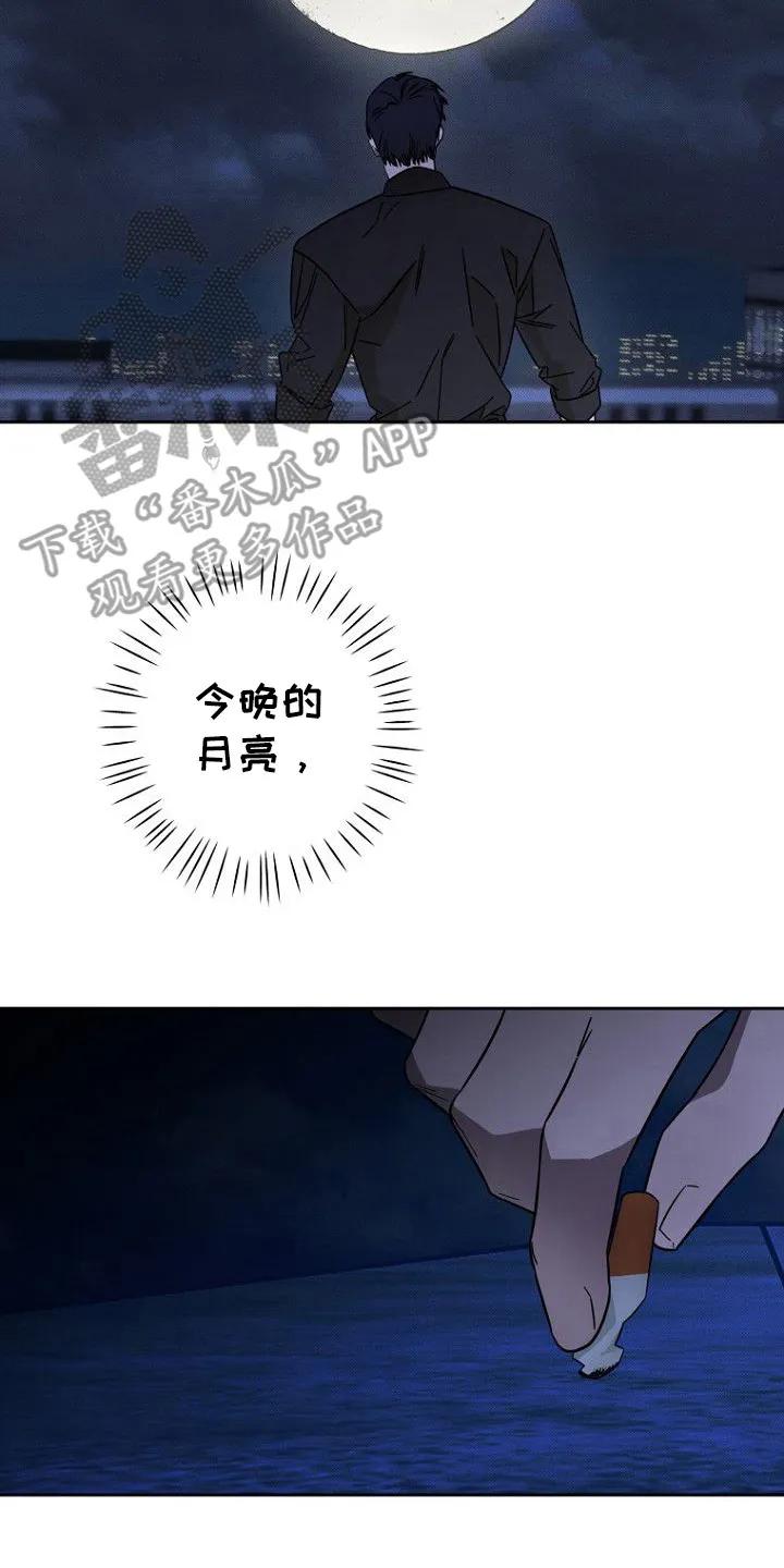 《月蚀恋歌》第2章：又见面了 第2页