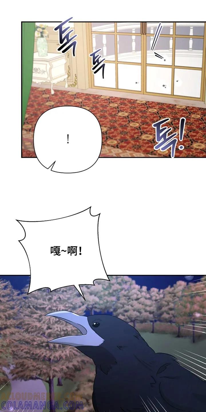 《这个乙游不对劲》第33章：随机盲盒 第25页