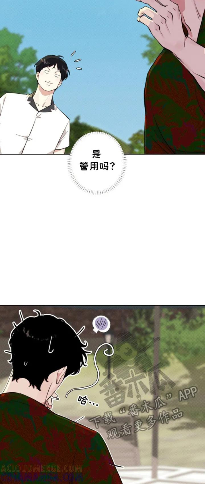 《海岛人生》第6章：计划通 第7页