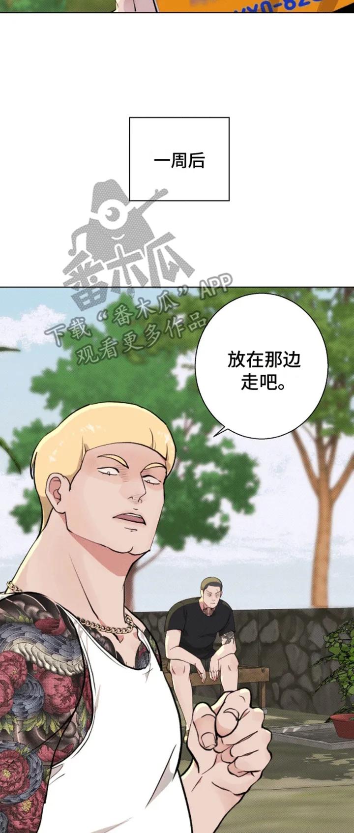 《海岛人生》第6章：计划通 第10页