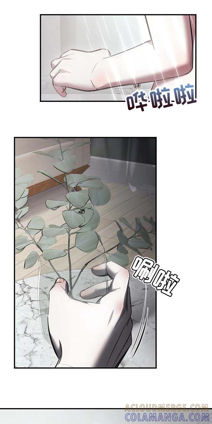 《暴动的追随》第26章：摄像头 第17页