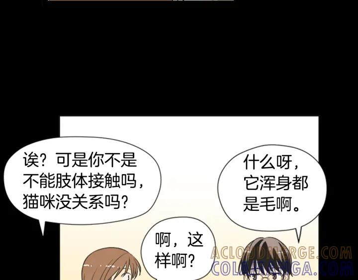 《不能恋爱的房间》第61话 土豪养猫法 第70页