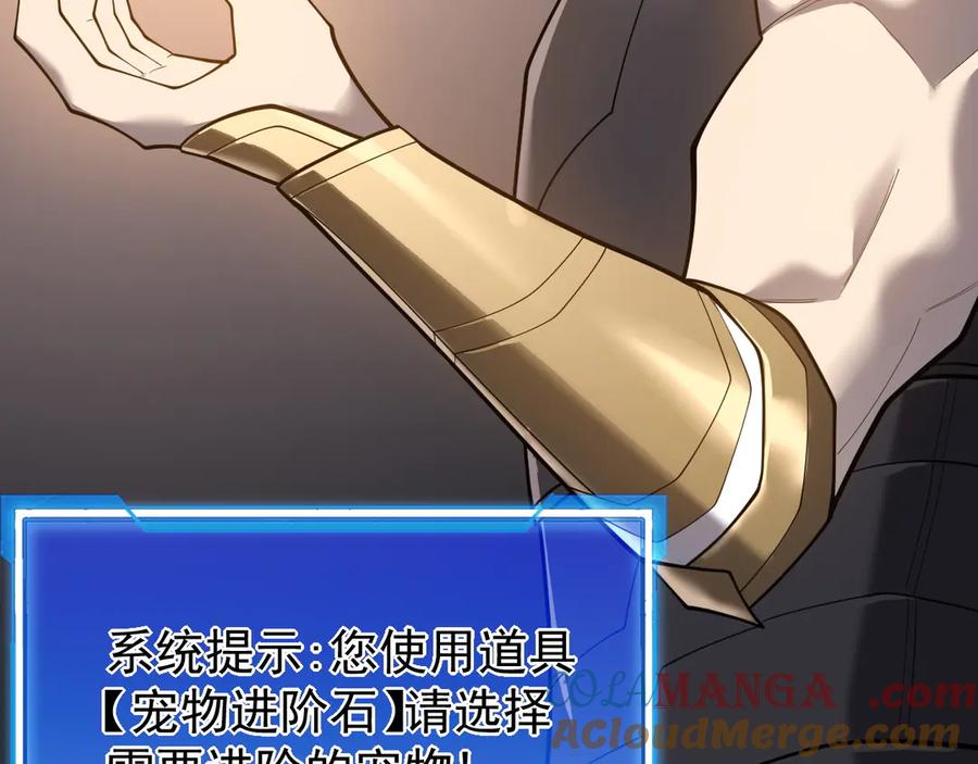 网游：因为太浪，我成了全服公敌！ 第99话 宠物进阶 第29页