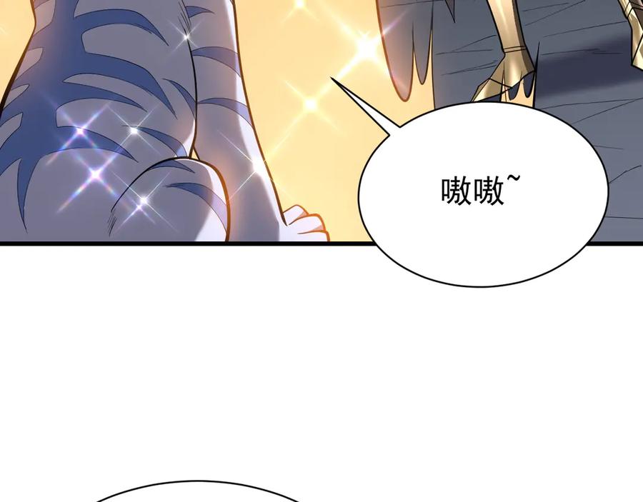网游：因为太浪，我成了全服公敌！ 第99话 宠物进阶 第24页
