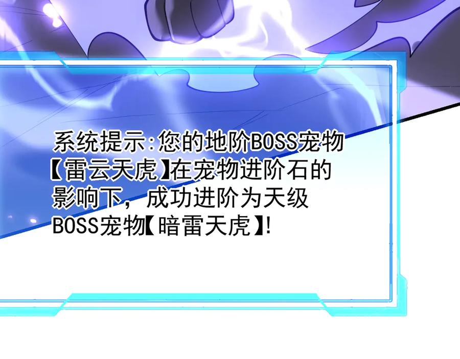 网游：因为太浪，我成了全服公敌！ 第99话 宠物进阶 第48页