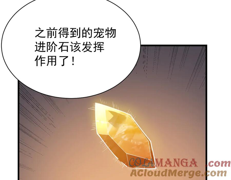 网游：因为太浪，我成了全服公敌！ 第99话 宠物进阶 第25页