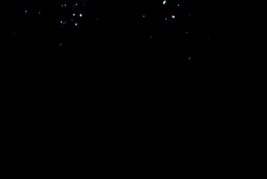 月影剑帝 第83话 侠名远扬 第32页