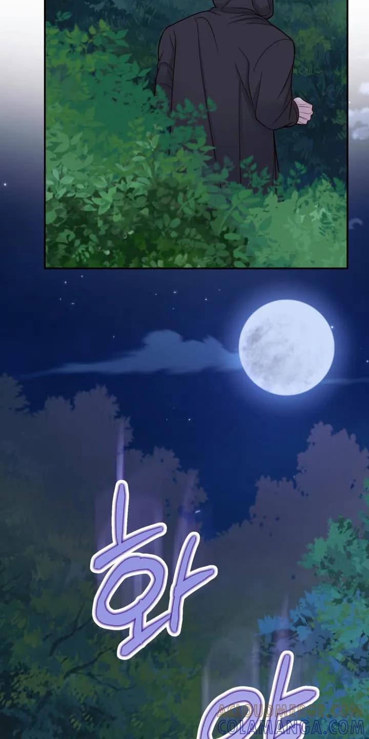 《月圆之夜的秘密》第1章：秘密 第31页