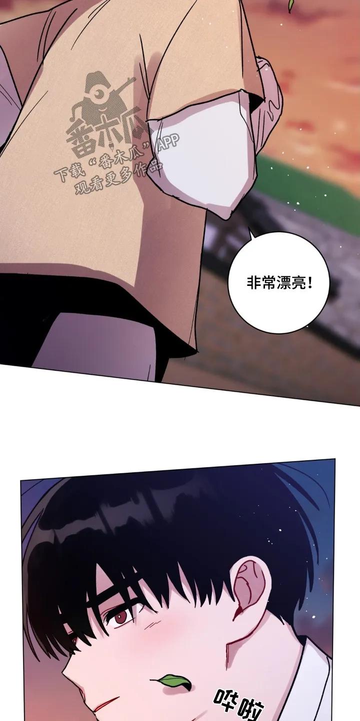 《复生之缘》第168章：我会负责 第12页