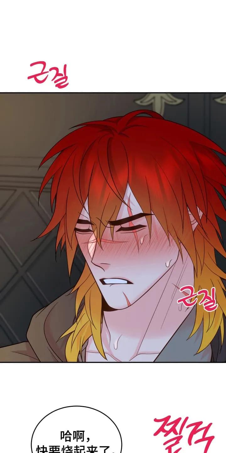 《月圆之夜的秘密》第2章：请柬 第4页