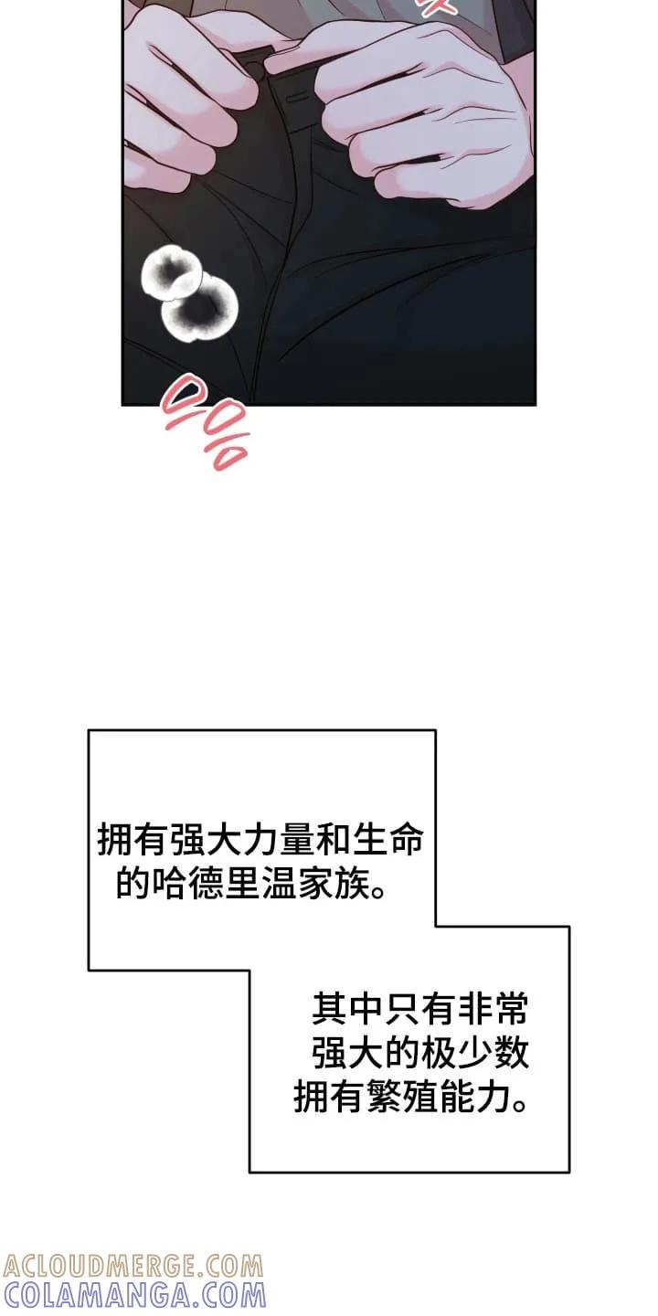 《月圆之夜的秘密》第2章：请柬 第3页