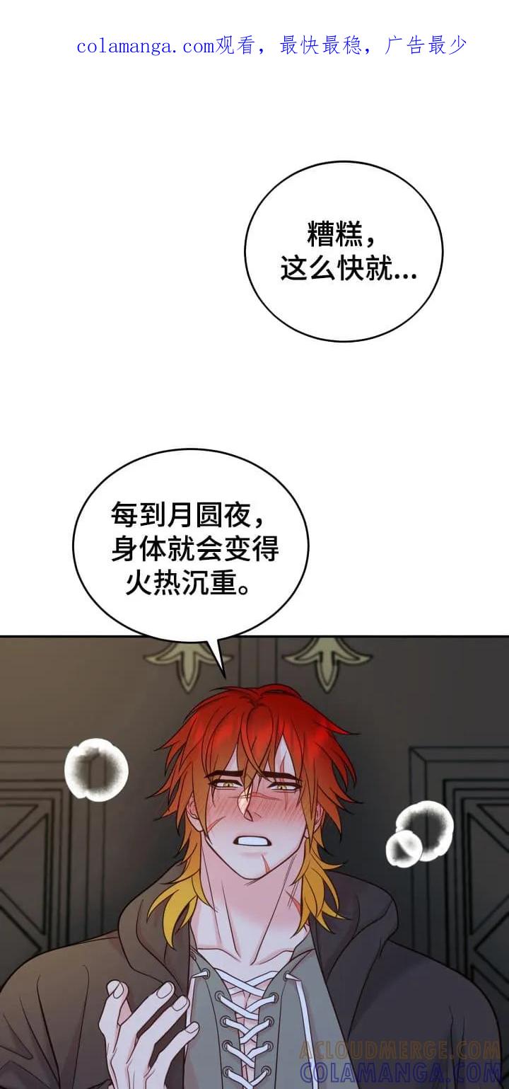 《月圆之夜的秘密》第2章：请柬 第1页