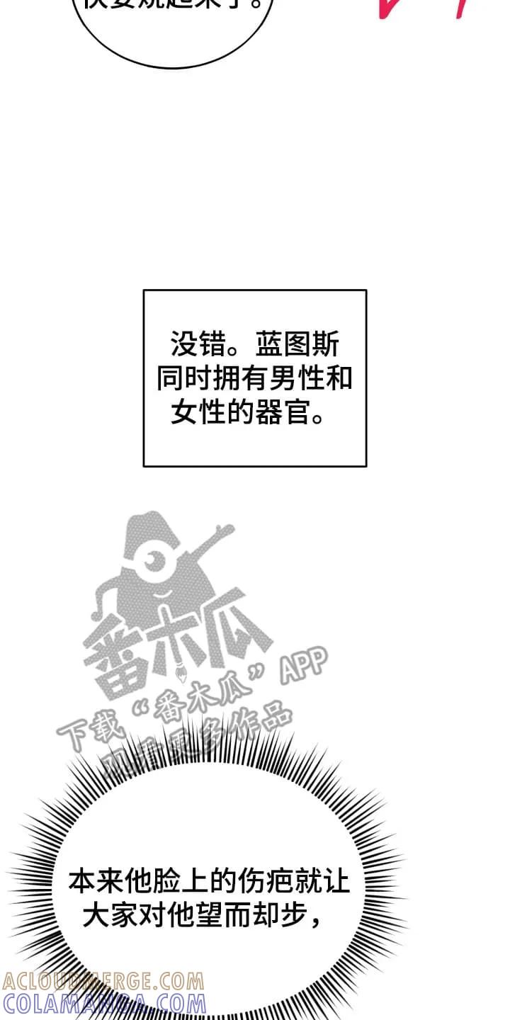 《月圆之夜的秘密》第2章：请柬 第5页