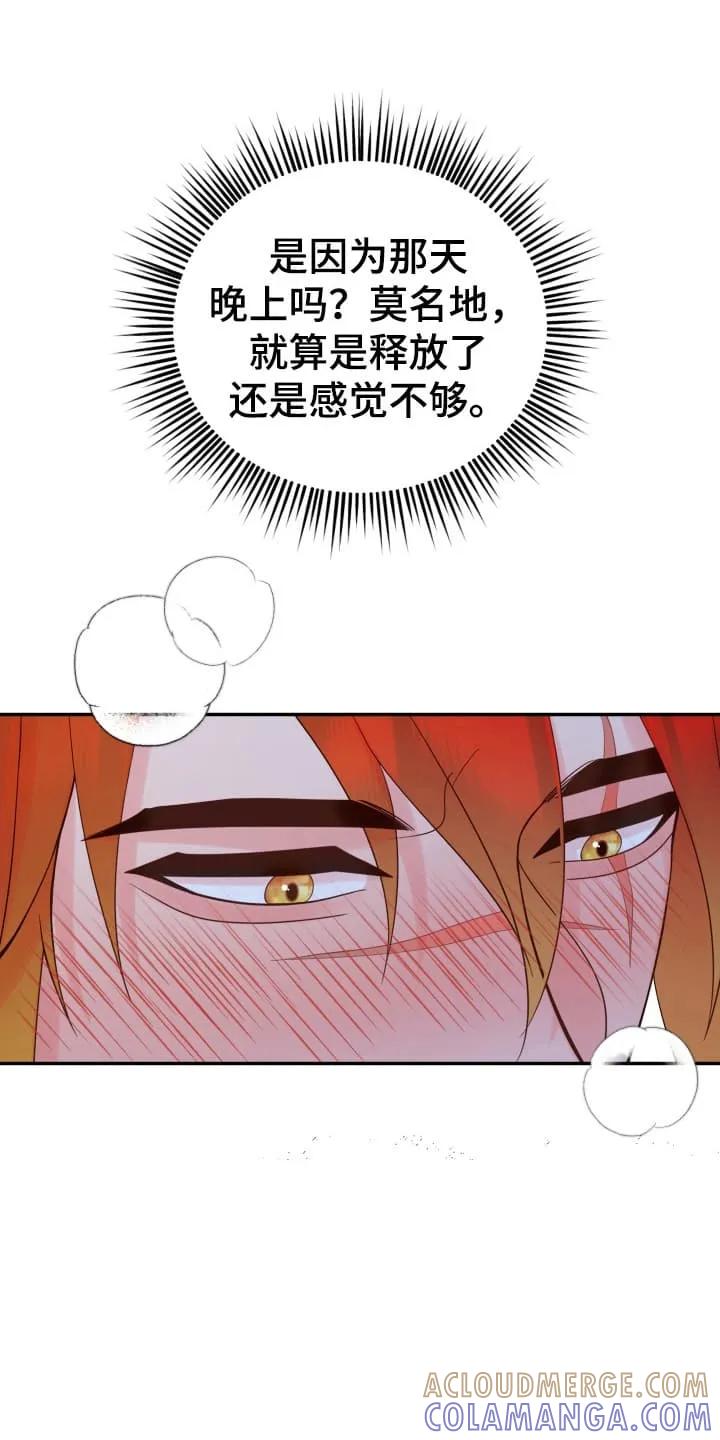 《月圆之夜的秘密》第2章：请柬 第13页