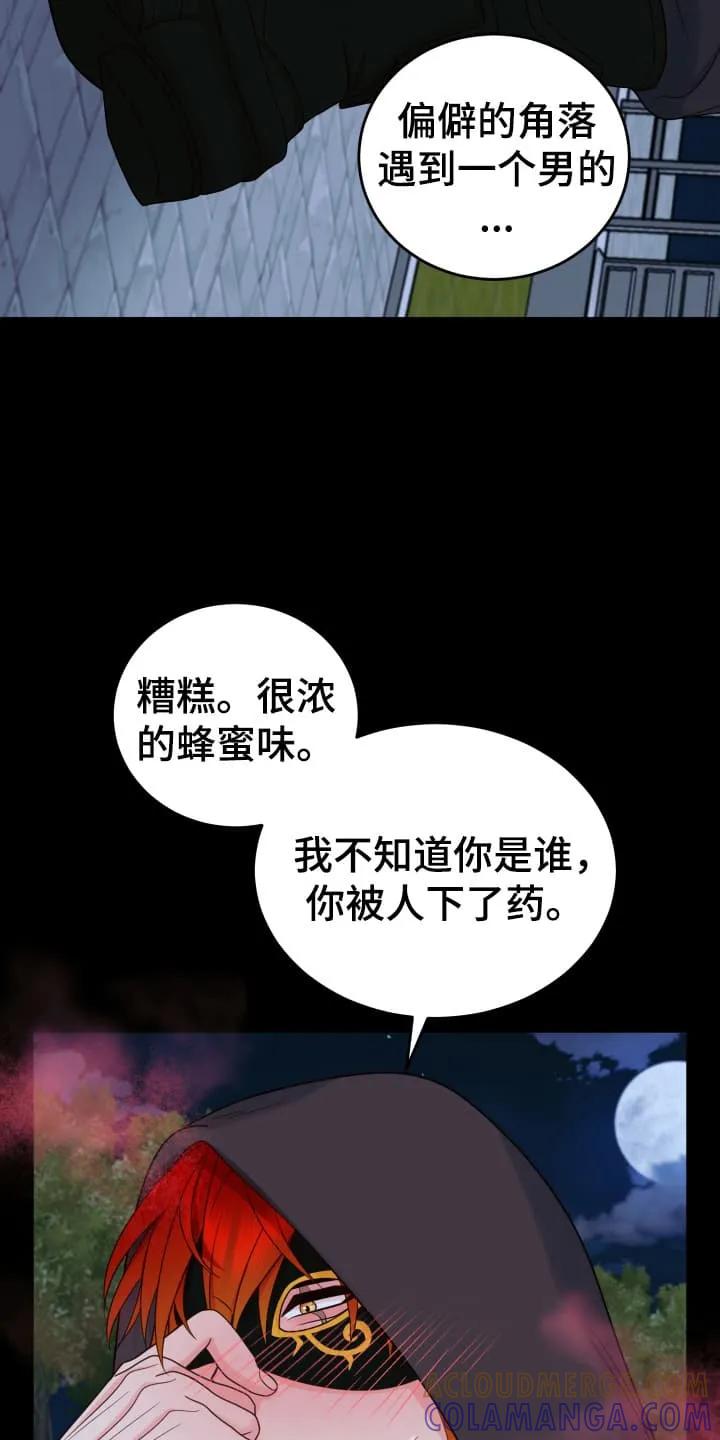 《月圆之夜的秘密》第3章：闯入者 第27页