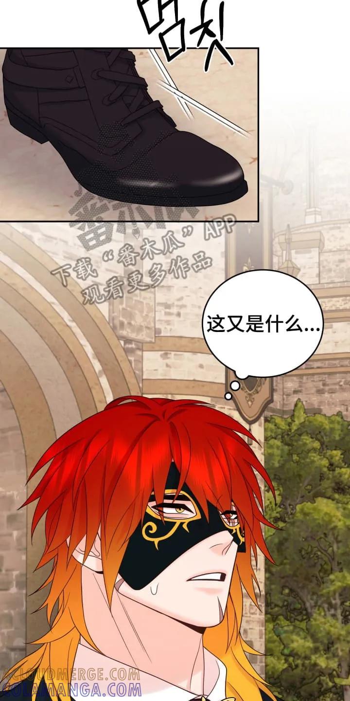 《月圆之夜的秘密》第3章：闯入者 第11页