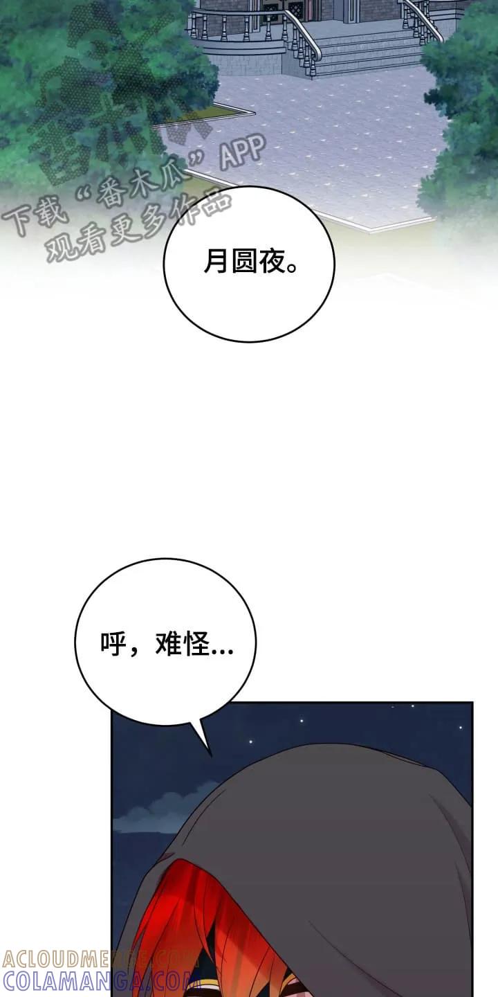 《月圆之夜的秘密》第4章：让他去别墅 第19页