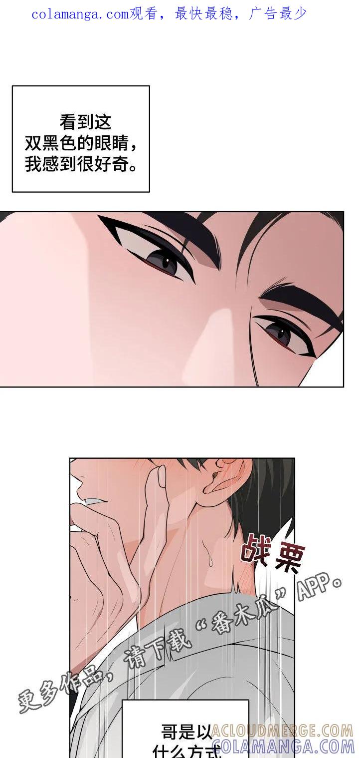 《恋爱三骑士》第54章：【第二季】不害臊的家伙 第1页