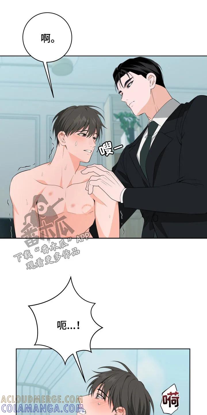 《恋爱三骑士》第54章：【第二季】不害臊的家伙 第13页