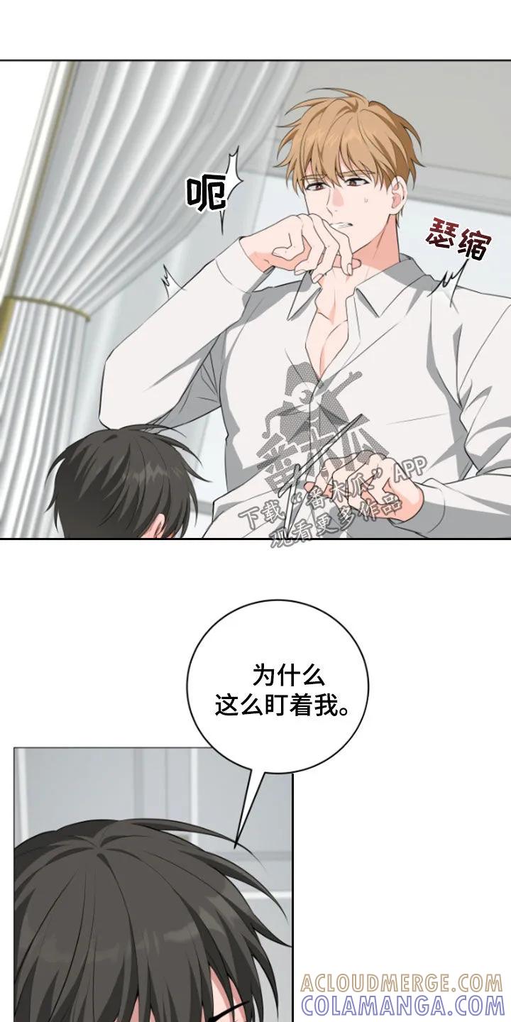 《恋爱三骑士》第55章：【第二季】给我安静点 第15页