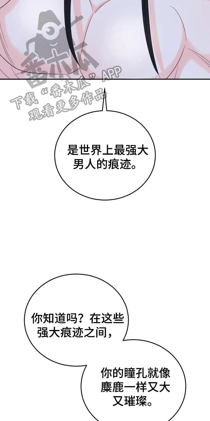 《月圆之夜的秘密》第6章：告白 第14页