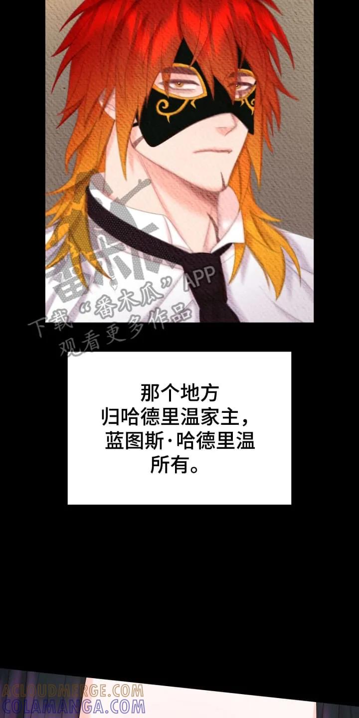 《月圆之夜的秘密》第8章：忘不了他 第11页