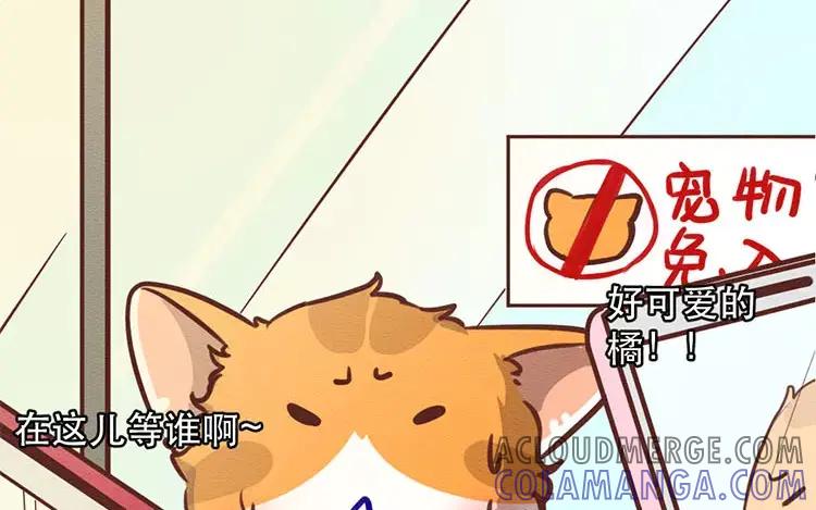 《混沌日报》第四十一话 时代的烦恼 第43页