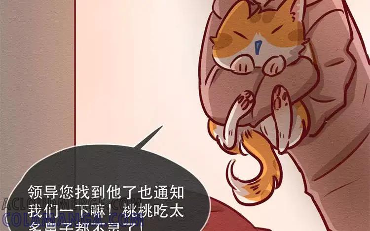 《混沌日报》第四十二话 渺小又伟大 第79页