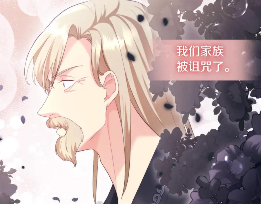 《与侯爵的50亿契约》第166话 公爵家族的秘密 第31页