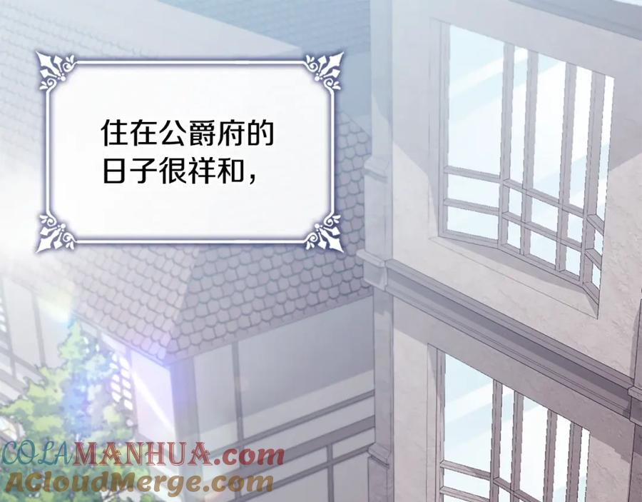 《与侯爵的50亿契约》第168话 夫人有孕了？！ 第29页