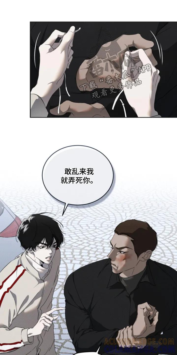 《物种的进化》第32章：快进去 第17页