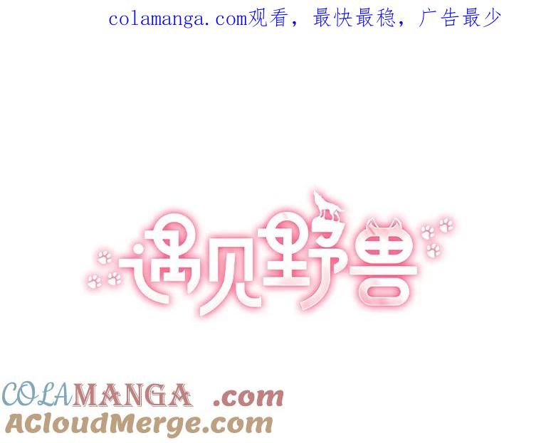 《遇见野兽》0.逃离渣男遇男神 第1页