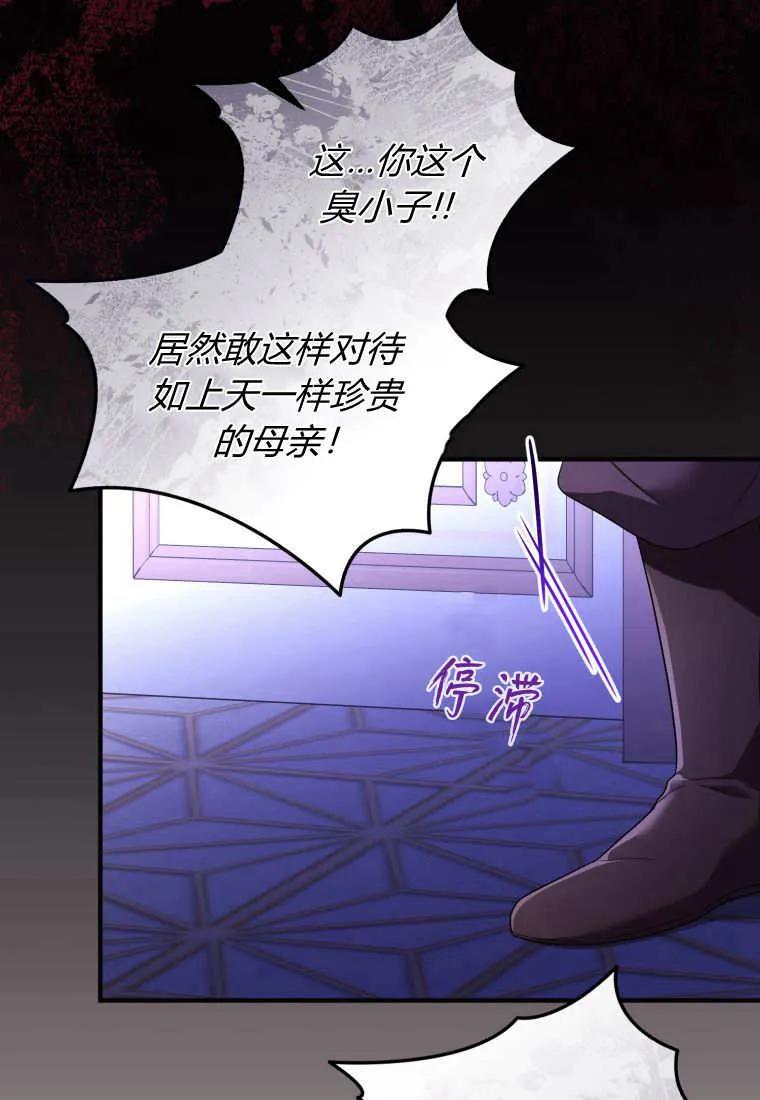 成为苏尔坦珍爱的猫咪 第67话 第28页