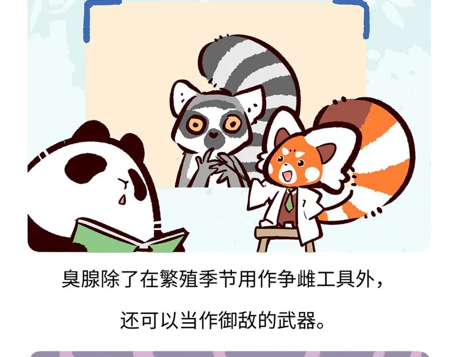 《胖达x胖达》第266话 第22页