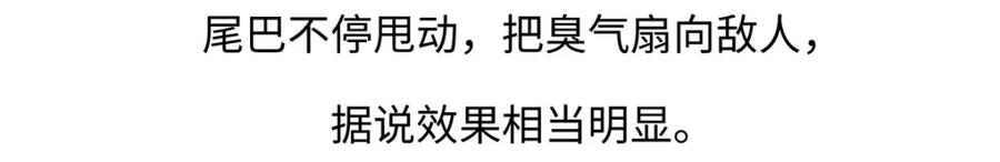 《胖达x胖达》第266话 第24页