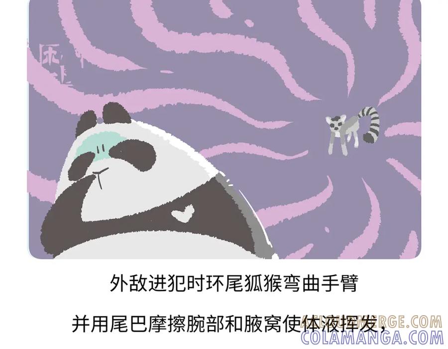 《胖达x胖达》第266话 第23页