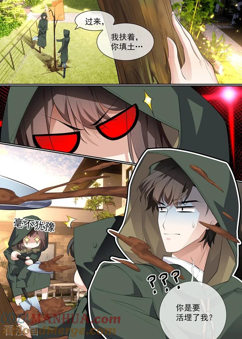25.jpg