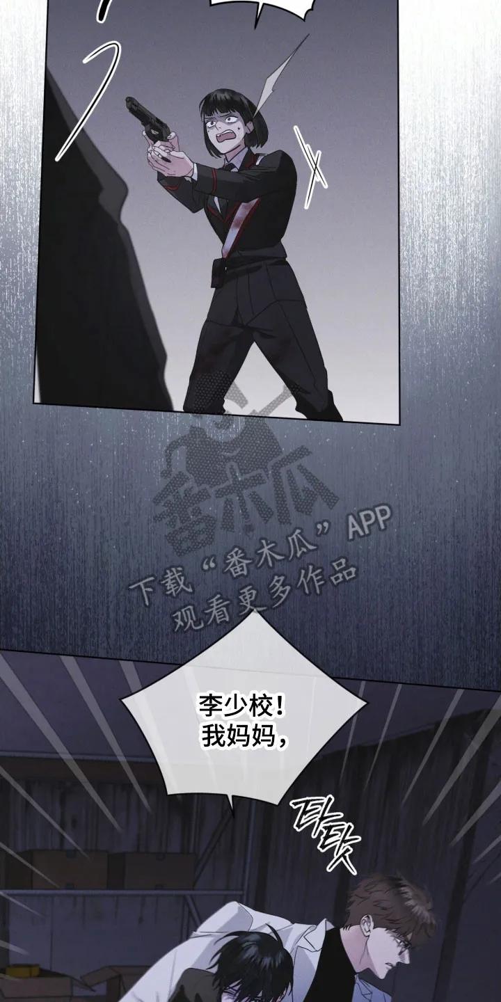 《彩虹城》第160章：【第三季】釜山 第6页