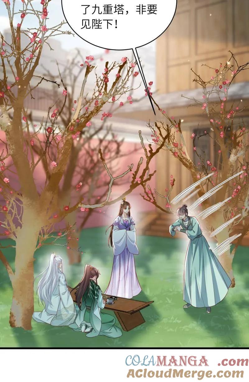 宦妃天下（太监王爷强娶我） 第441话 白玉归来 第31页