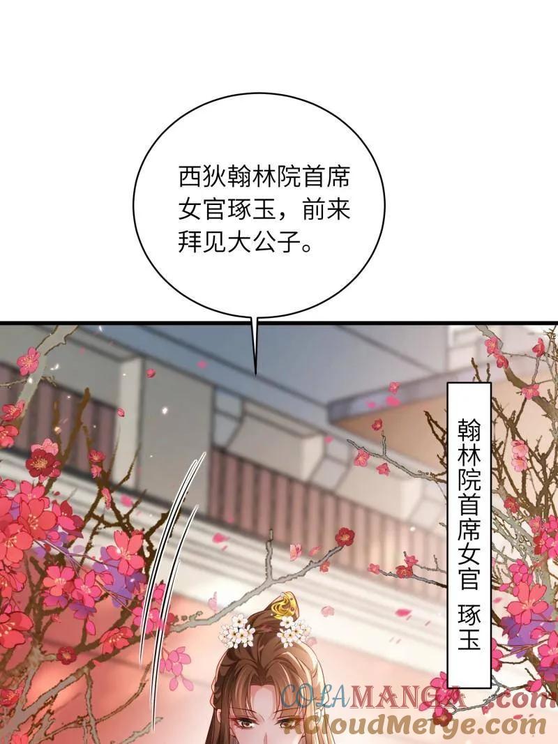 宦妃天下（太监王爷强娶我） 第441话 白玉归来 第29页