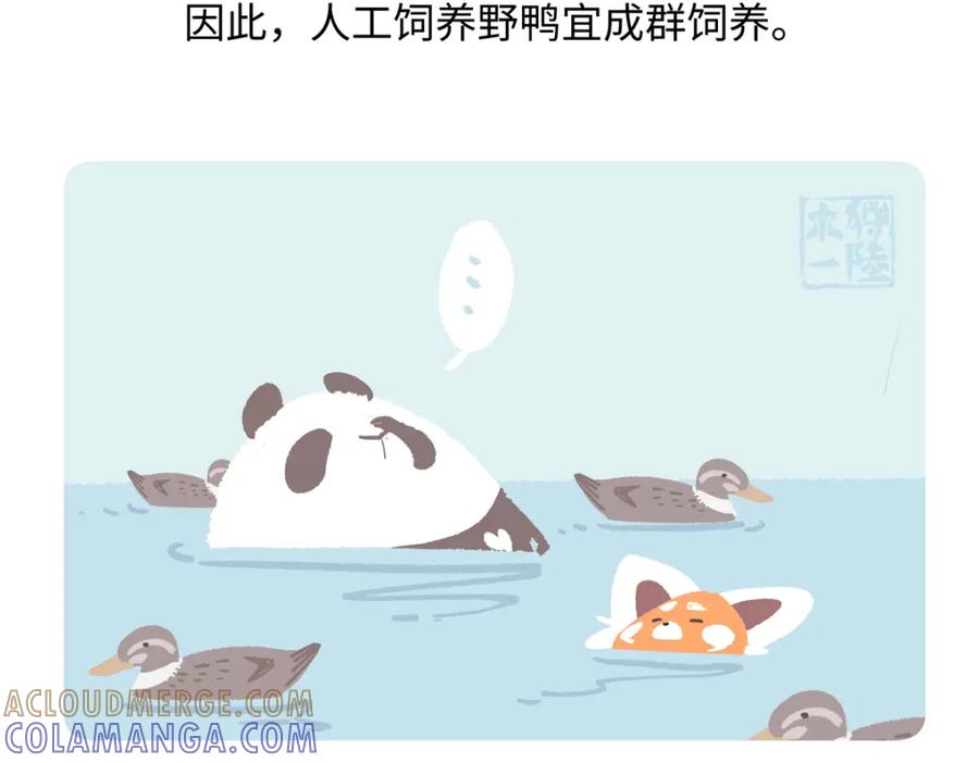 《胖达x胖达》第268话 第23页