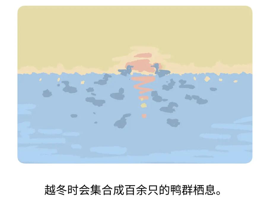 《胖达x胖达》第268话 第22页