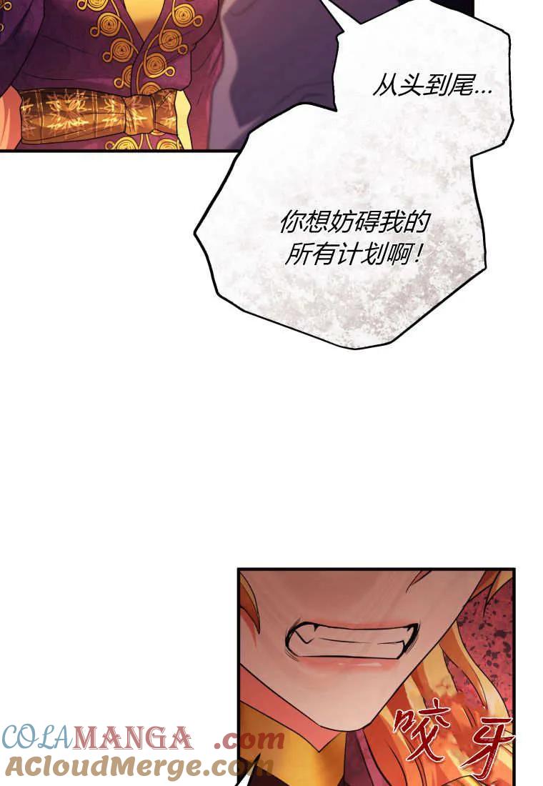 成为苏尔坦珍爱的猫咪 第72话 第52页