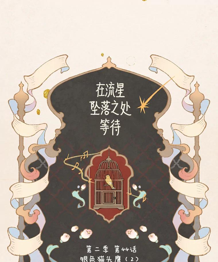 《在流星坠落之处等待》78.银色猫头鹰（2） 第5页