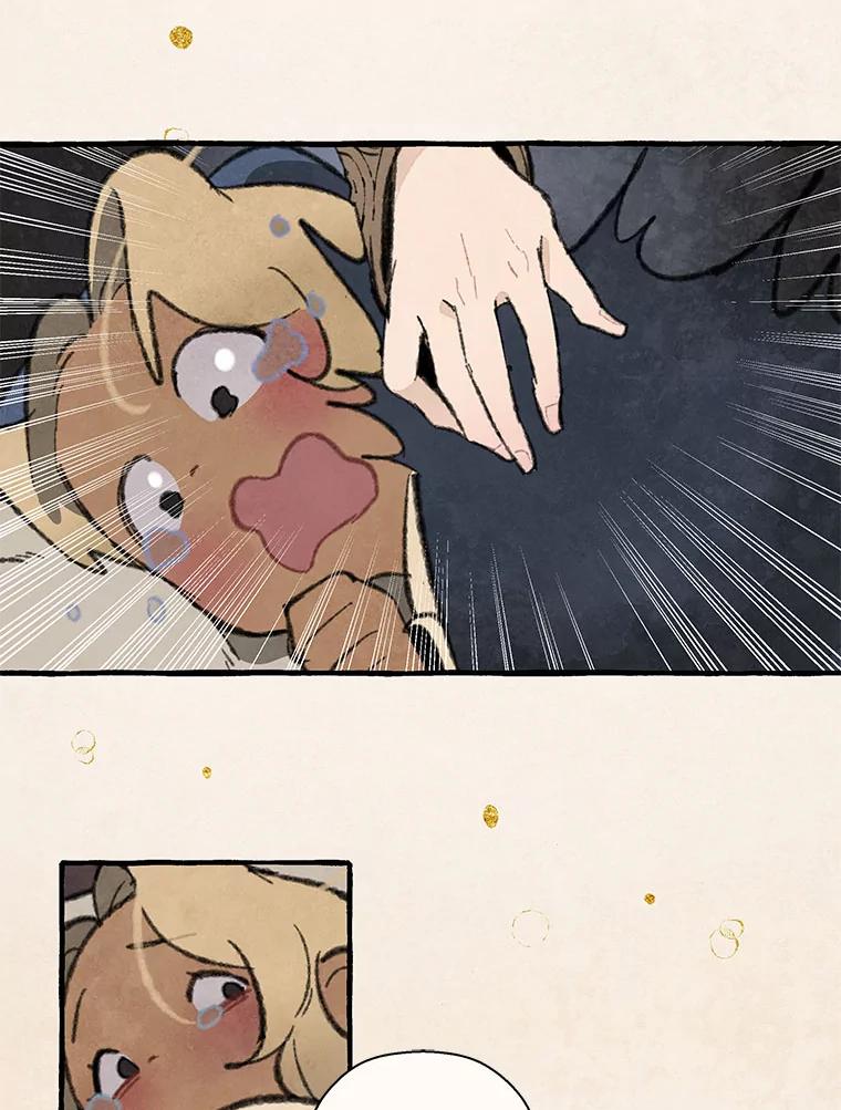《在流星坠落之处等待》78.银色猫头鹰（2） 第30页