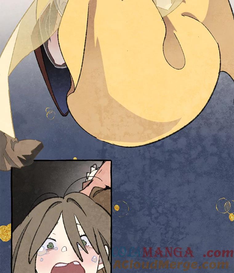 《在流星坠落之处等待》78.银色猫头鹰（2） 第24页