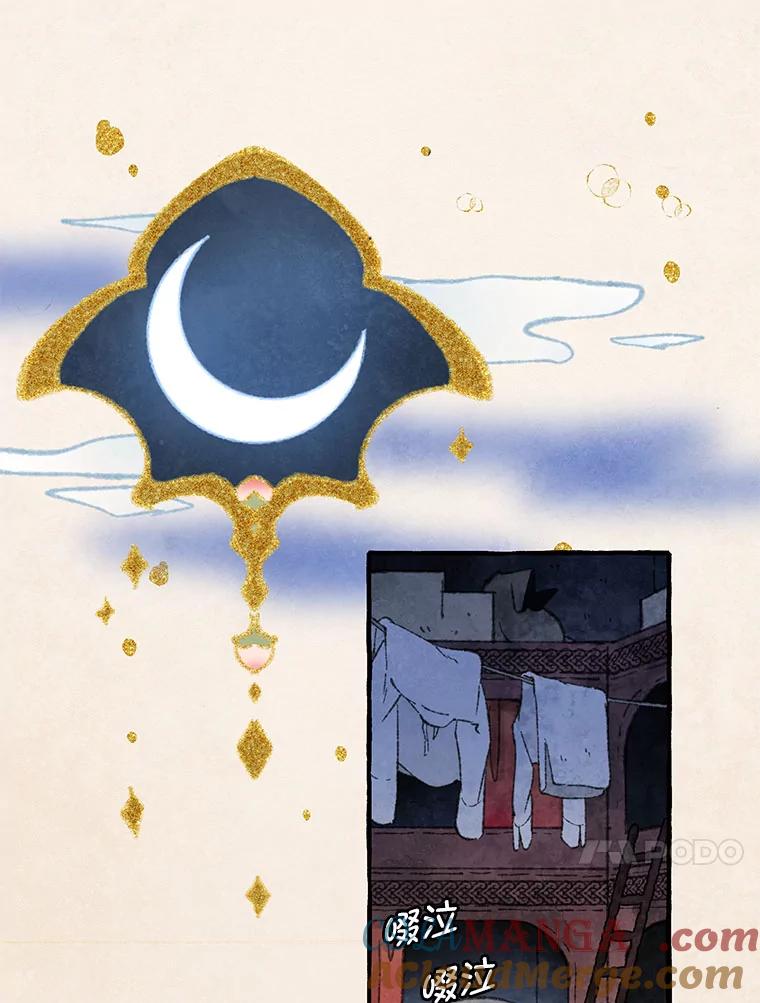 《在流星坠落之处等待》78.银色猫头鹰（2） 第28页